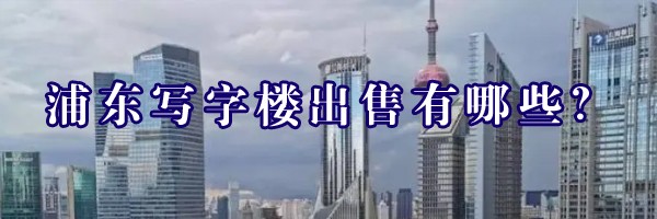 22"浦東寫字樓出售有哪些？"